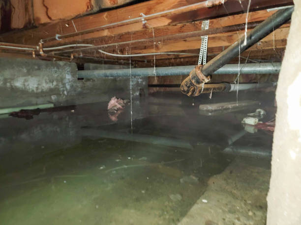 Best Carpet water damage restoration  in Lyons, OR
