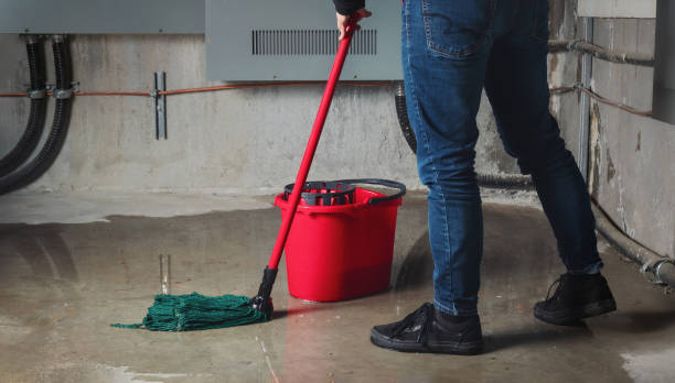 Best Mold removal after water damage  in Lyons, OR