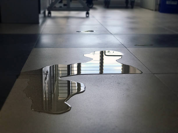 Best Professional water damage repair  in Lyons, OR