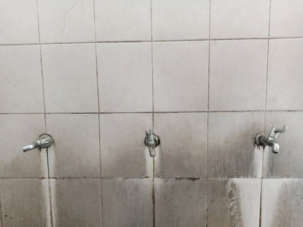 Best Water damage cleanup near me  in Lyons, OR