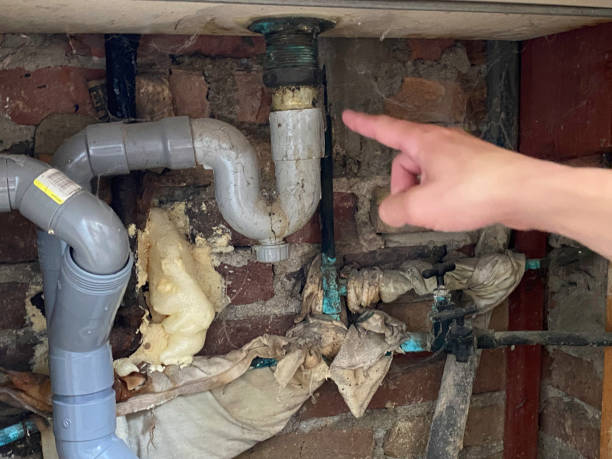 Best Water damage contractors near me  in Lyons, OR